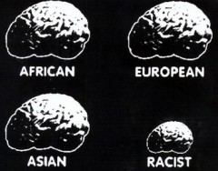 racisme-cerveau.jpg