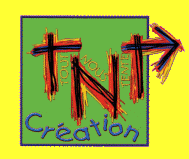 logo TNT flêché