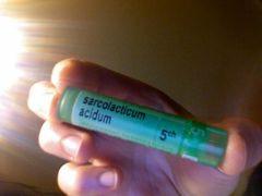 Sarcolacticum acidum