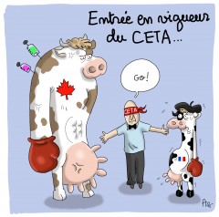 CETA-boxe.jpg
